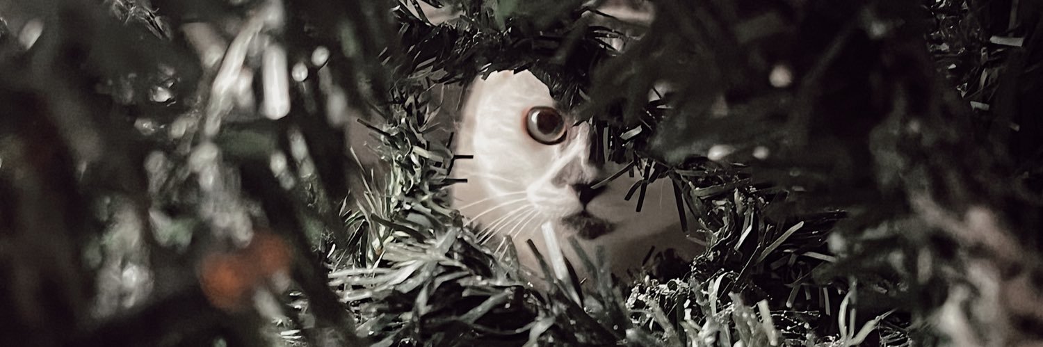 floremrl_'s profile banner image