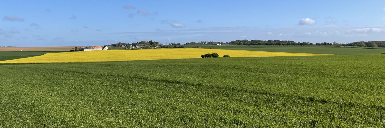 Pierre Mayeur banner