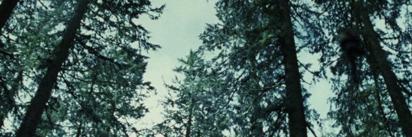 Frigggofff_'s profile banner image