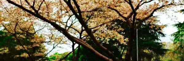 Patrick8192's profile banner image