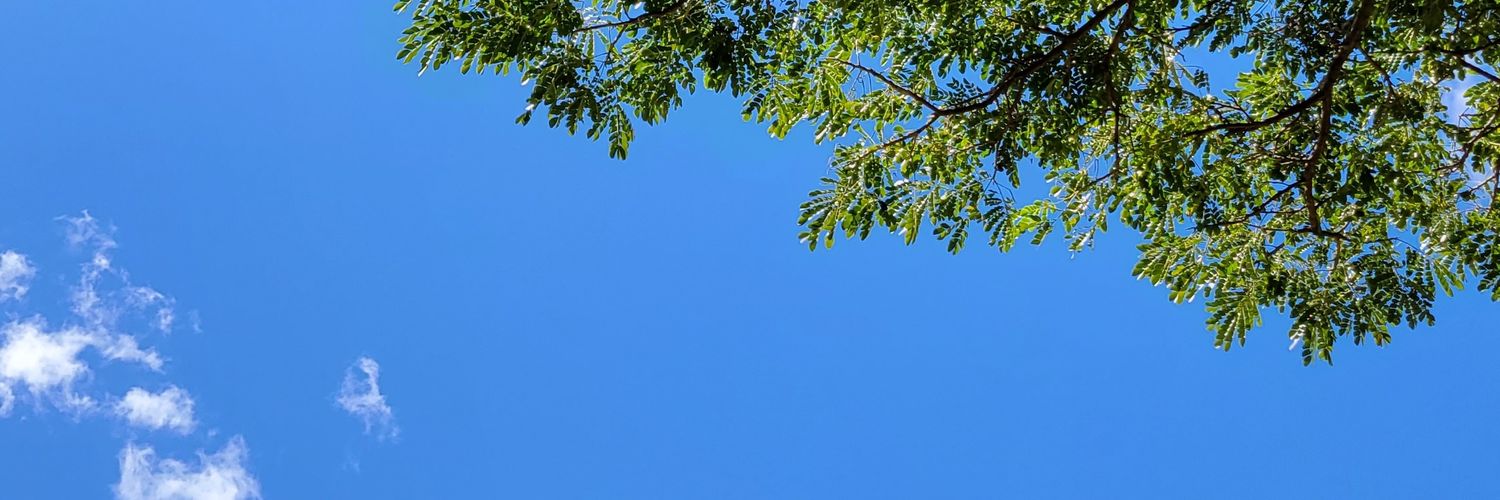 CurlyLocd (She/Her/Hers) banner