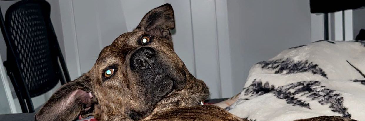 ChanceBenadum22's profile banner image