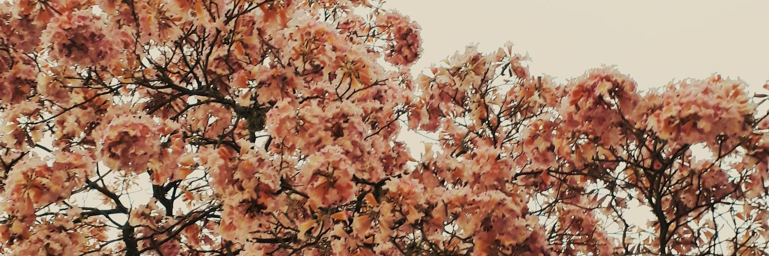 AntotnellaB's profile banner image