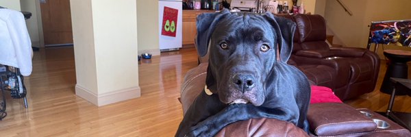 TabithaTimmss Profile Banner