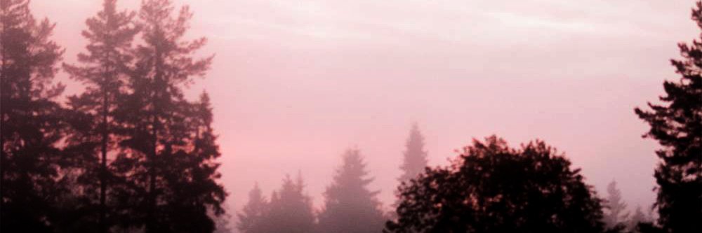 heliolit3's profile banner image