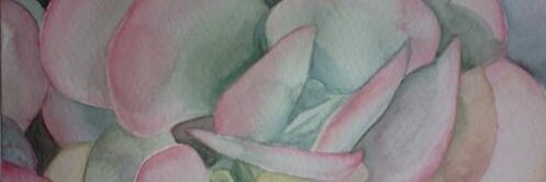 mariagstudios's profile banner image
