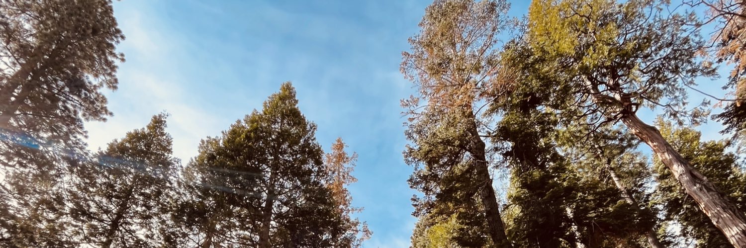 rodrigocaina_'s profile banner image