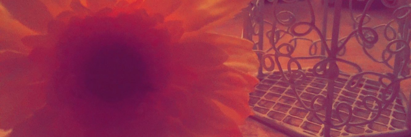 manal_2015's profile banner image