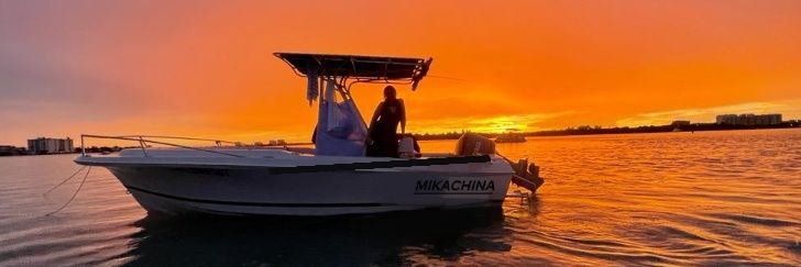 denisecelina's profile banner image