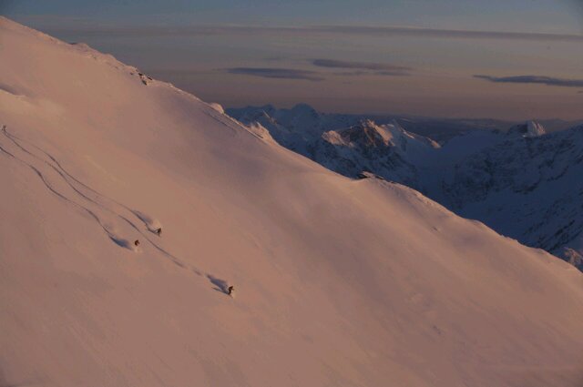 mcleanheliski's profile banner image