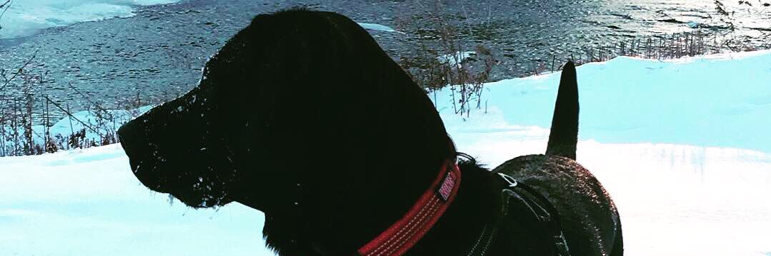 TylerSchmidtMD's profile banner image