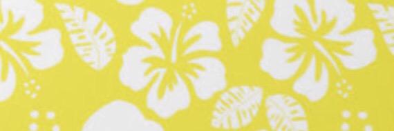 clarapnery's profile banner image