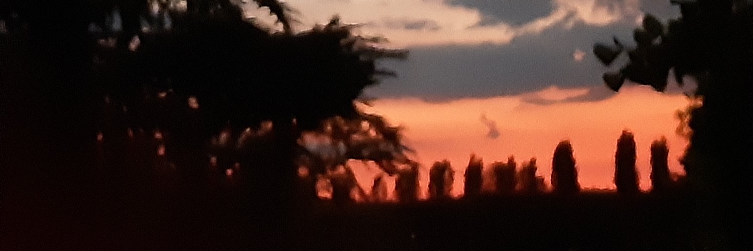 stillme4ever's profile banner image
