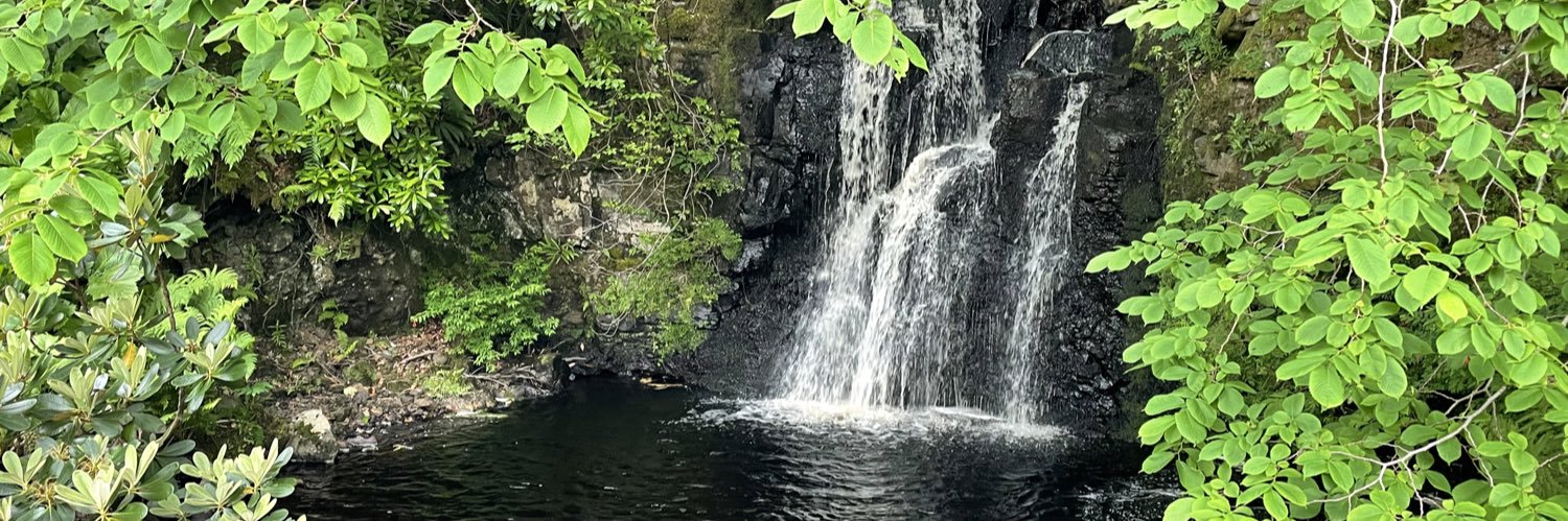 Melanie Smith banner