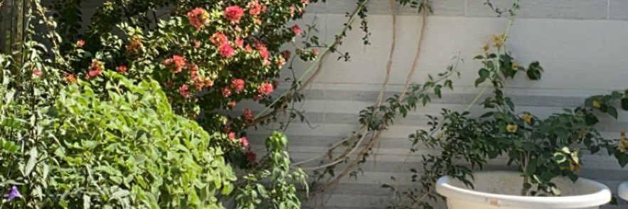 sma__77's profile banner image