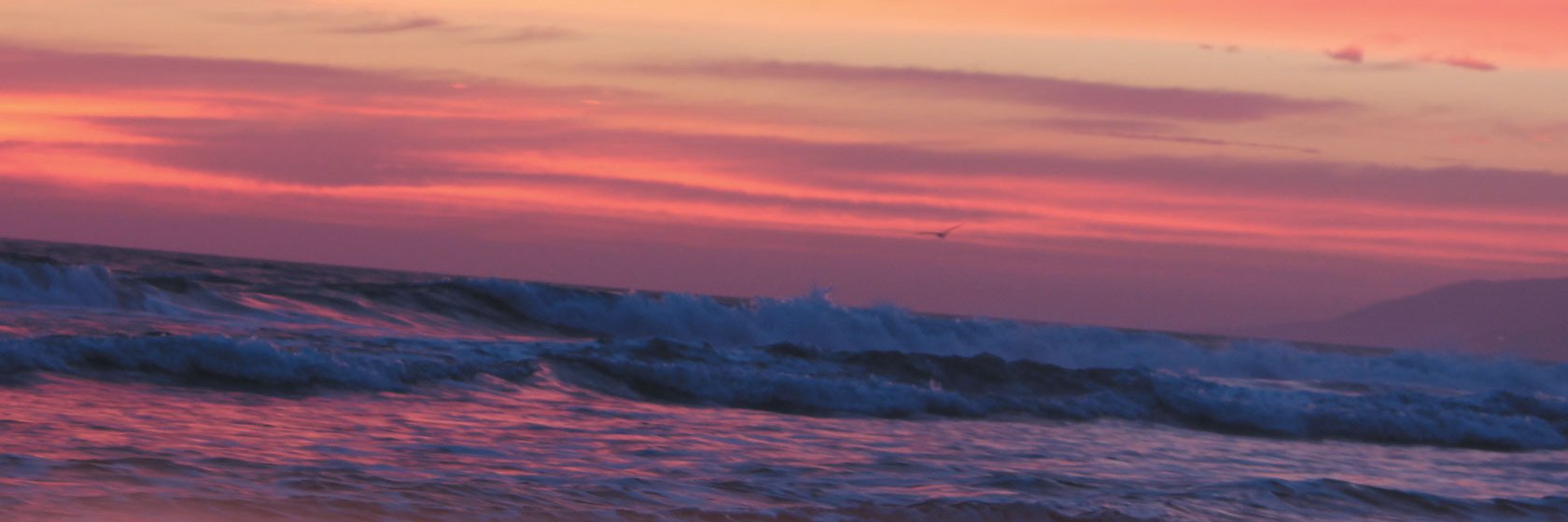 _brandice's profile banner image