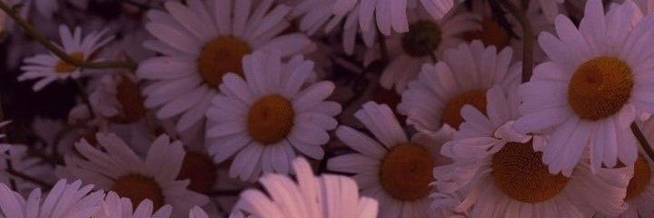 essined_____'s profile banner image