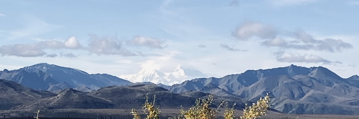 jillybean9811's profile banner image