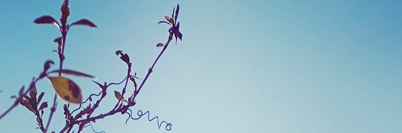 ju_min's profile banner image