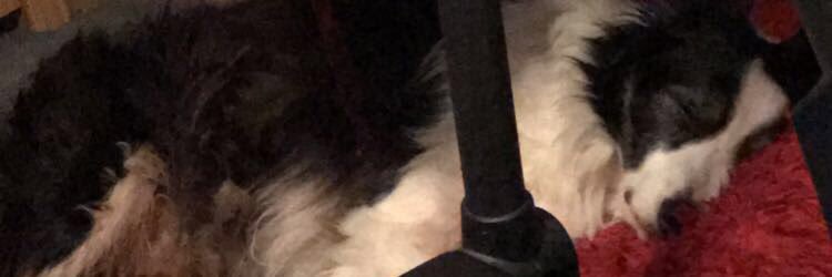 steppy34's profile banner image