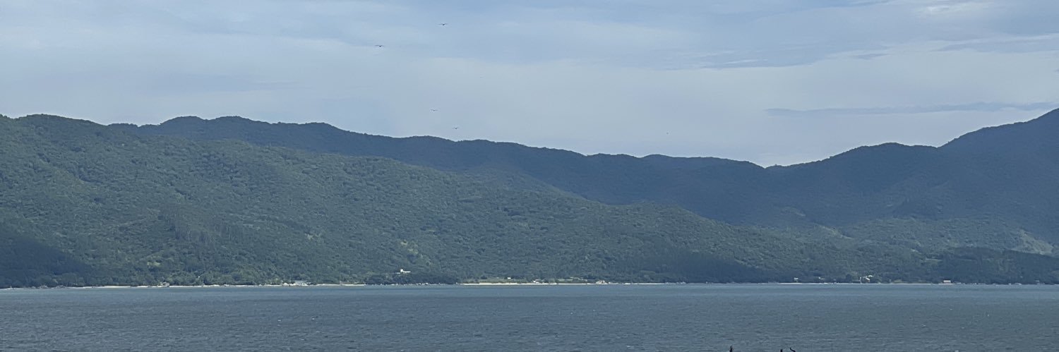 antonellarmirez's profile banner image