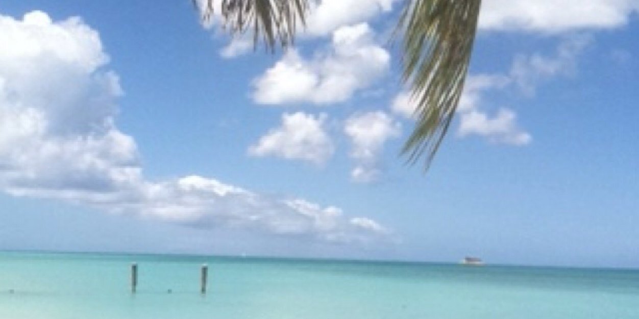 mcgee_kelsey's profile banner image
