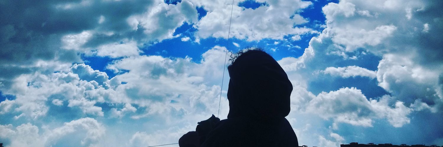 aranafantasma's profile banner image
