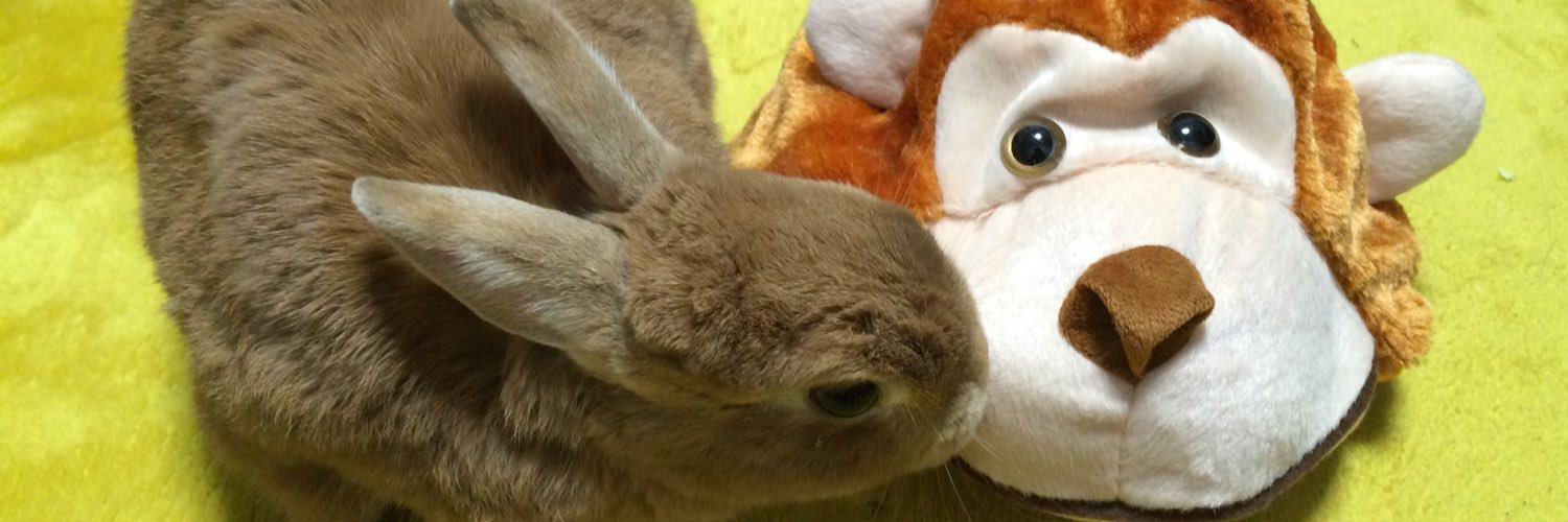 HamhamNeo's profile banner image