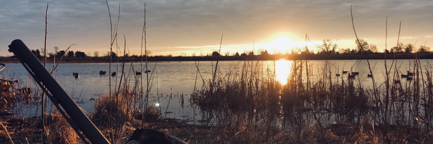 Ethan_Wolbach's profile banner image