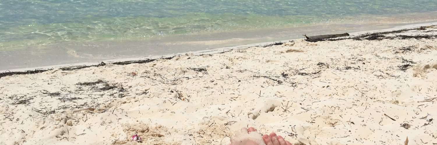 CaroQzds's profile banner image