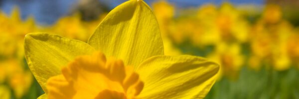 2rogerpacker Profile Banner