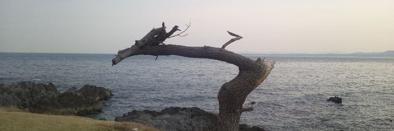 taruzon's profile banner image