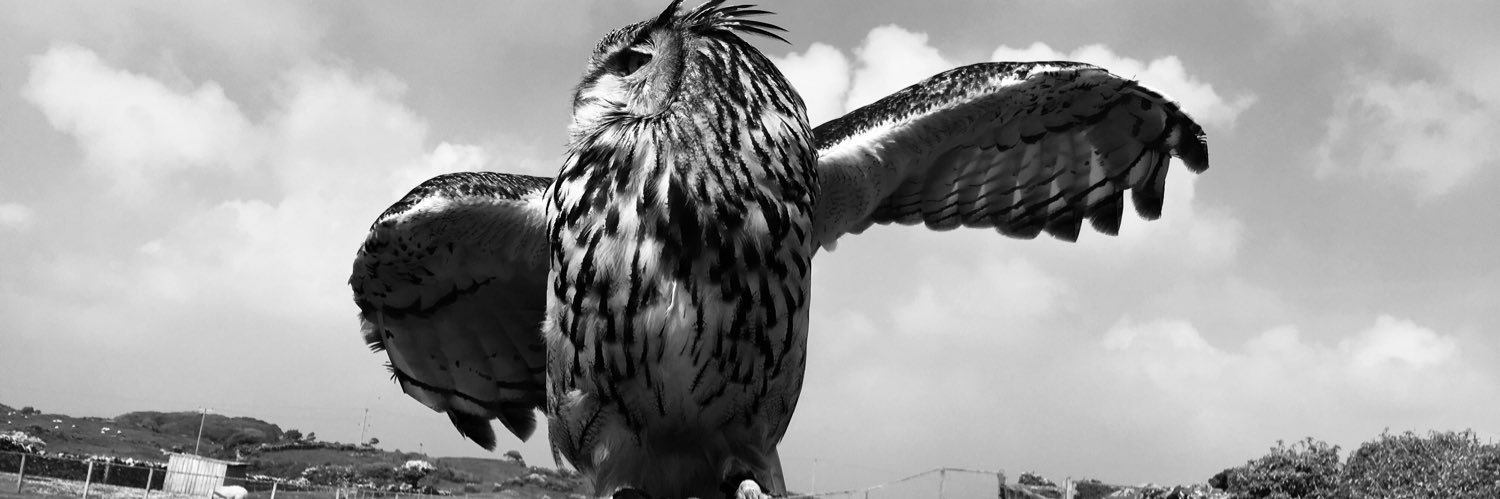 Richard Edwards banner