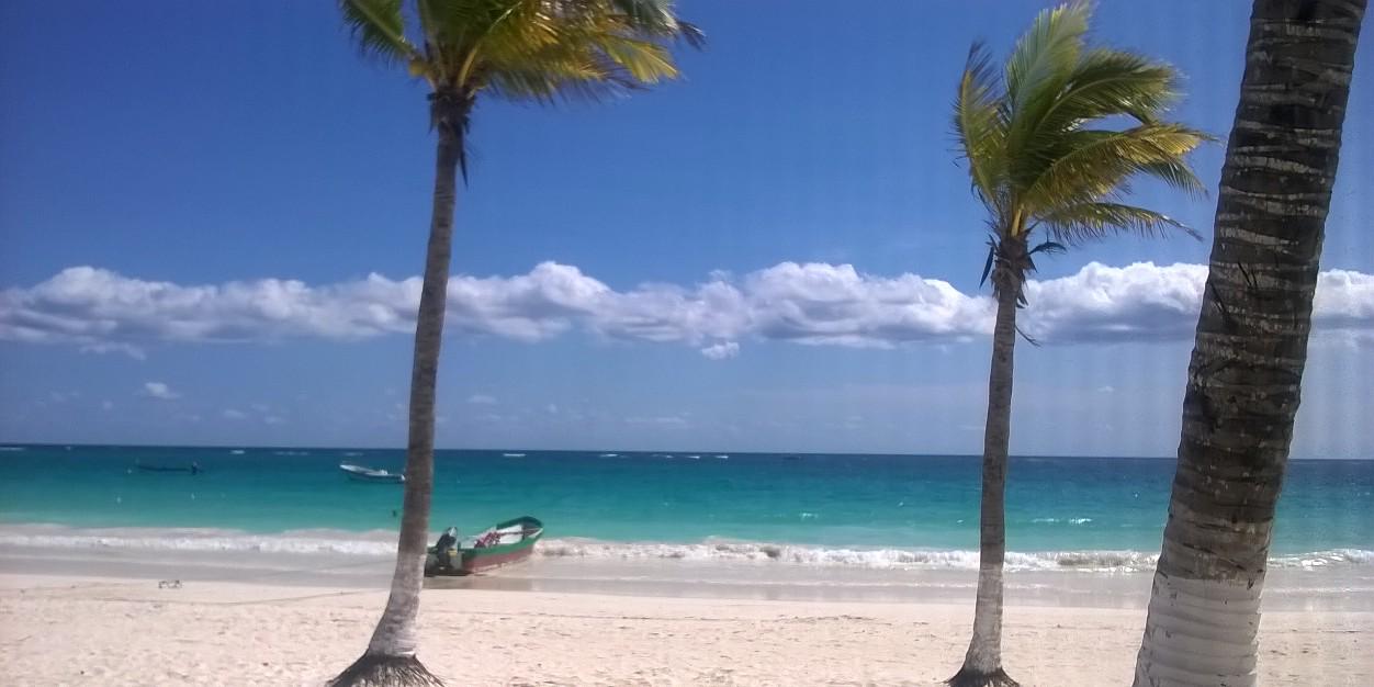 la_ricky's profile banner image