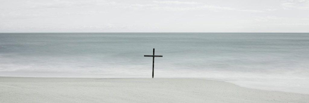 ShannonHocker's profile banner image