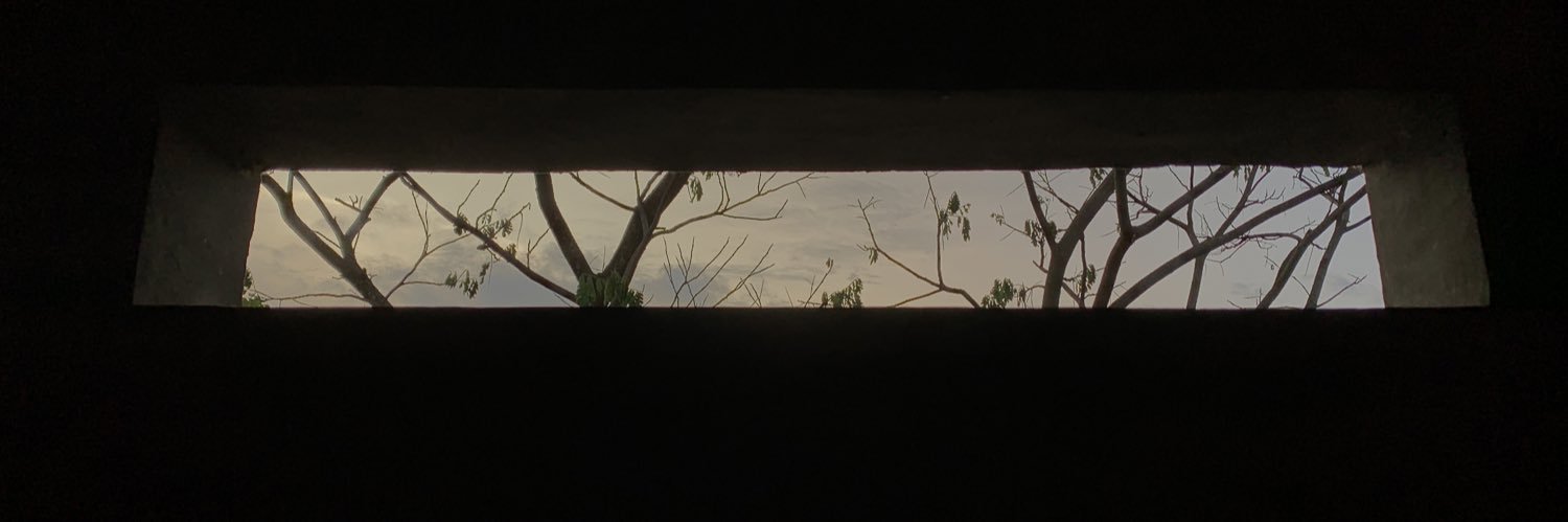 stevieaugusta's profile banner image