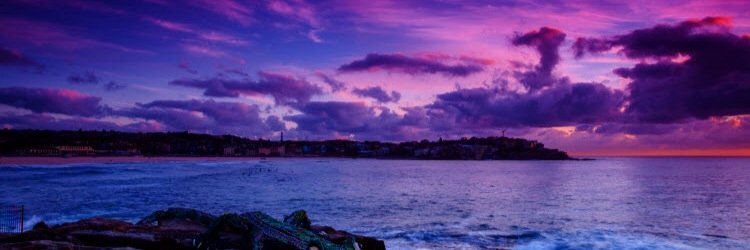 Joshua Tanchel banner