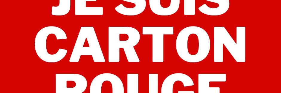 La mouette banner