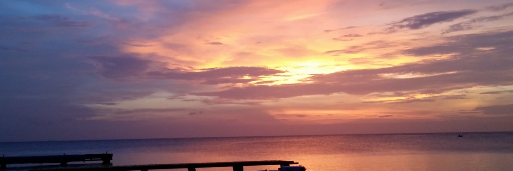 LexiLou94's profile banner image