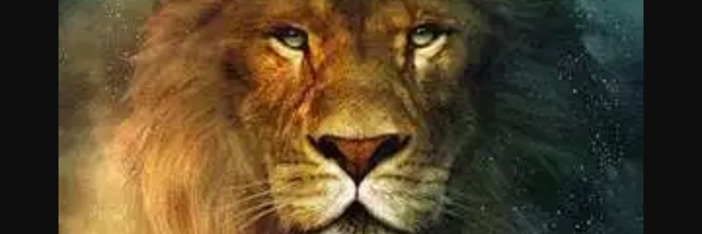 Svigar21's profile banner image