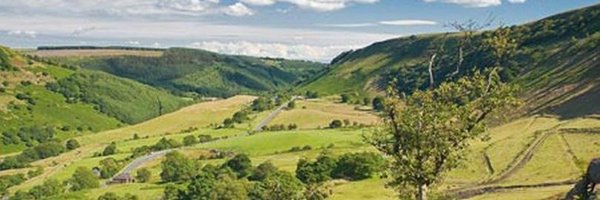 MsLECHistory Profile Banner