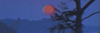 mustbescud's profile banner image