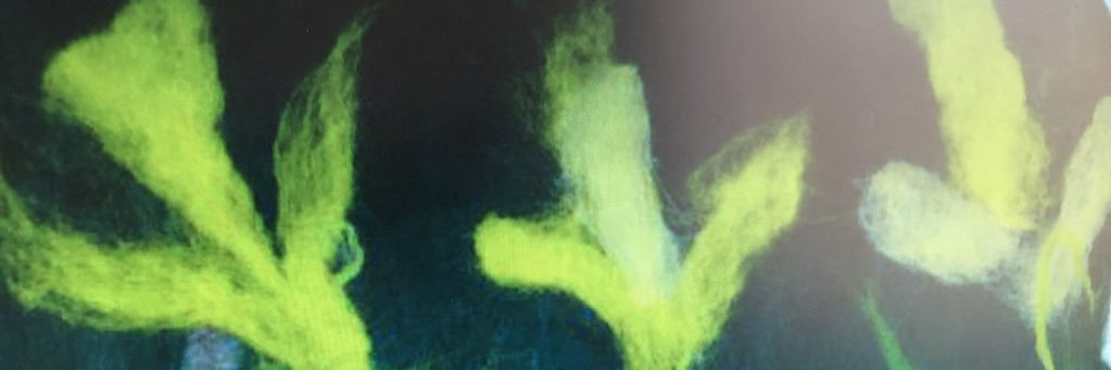 ChrisDyer15's profile banner image