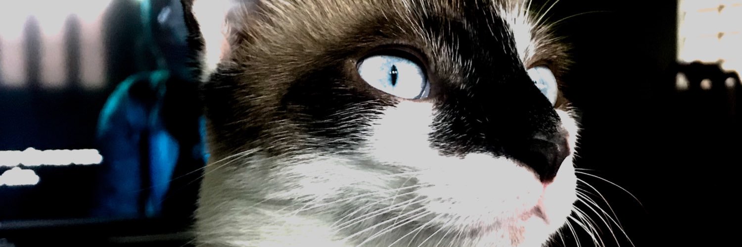 diegolivrre's profile banner image