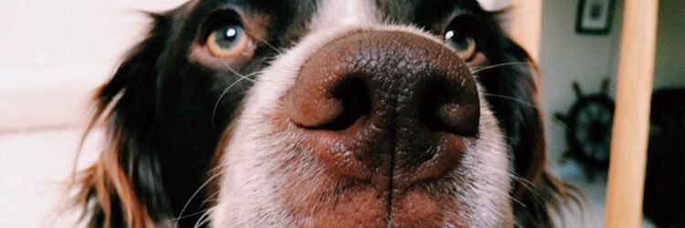 theycallmeslexx's profile banner image