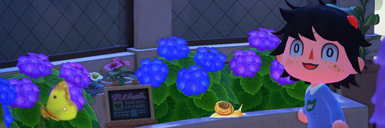 Ronar Le Sournois banner