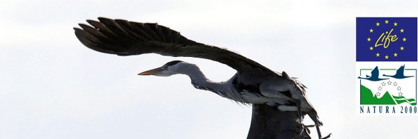 LifeInfonatur Profile Banner