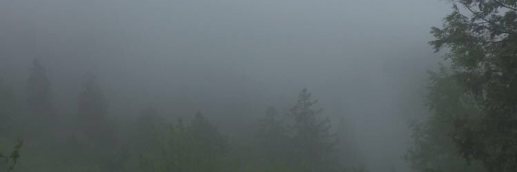 chasee_13's profile banner image