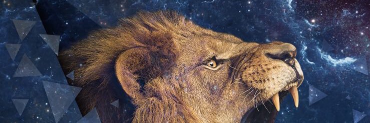 joaomarcus22's profile banner image