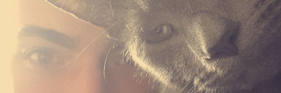 tAbrett39's profile banner image